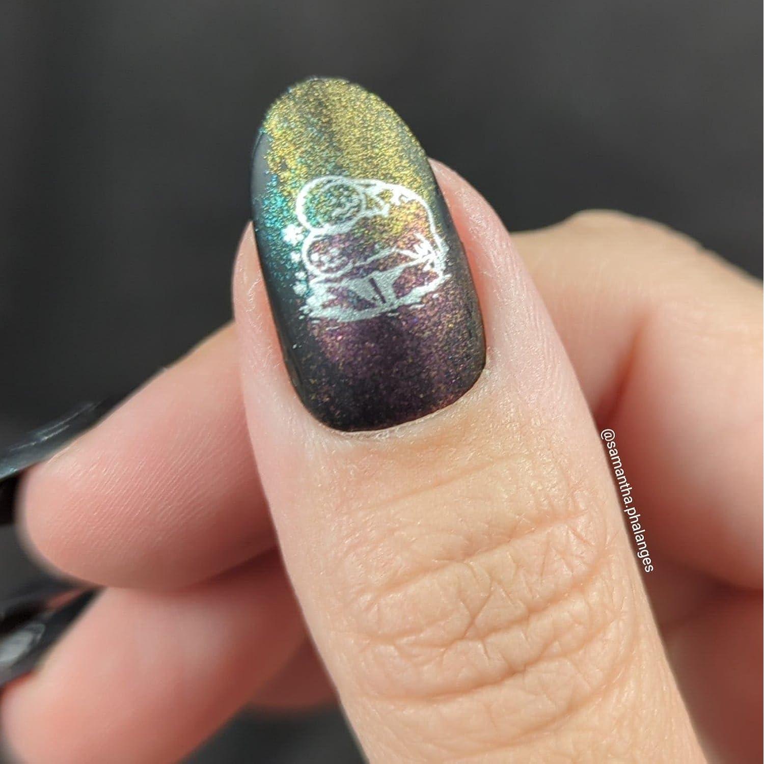 Placa de Estampado de Uñas Maniology M547 - Focas Invernales