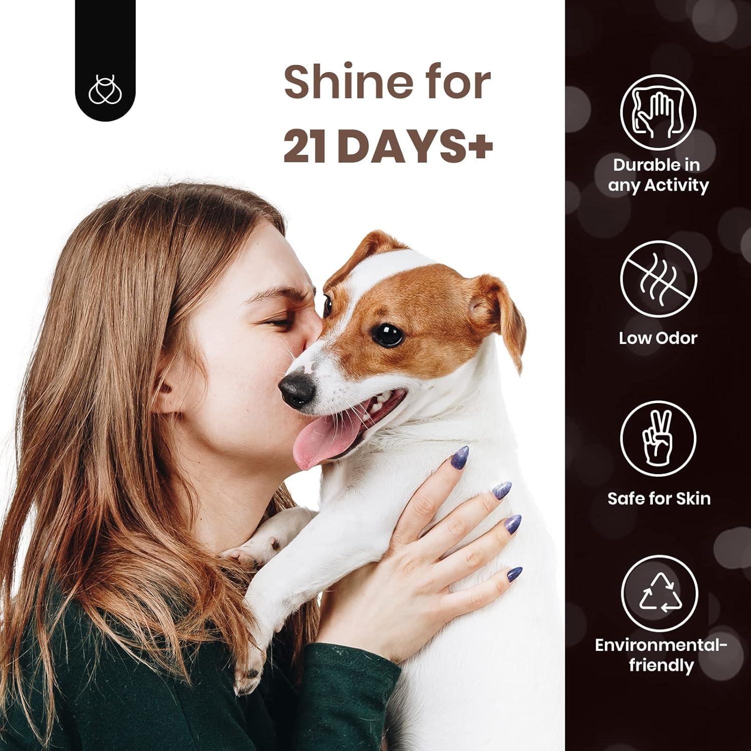 Set de Esmalte de Uñas Gel Ojo de Gato Beetles 6 Colores