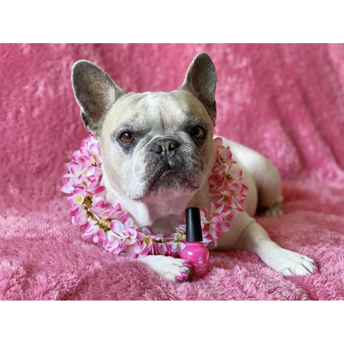 Esmalte de Uñas para Perros Warren London Rosa Perfecto 14.79 ml