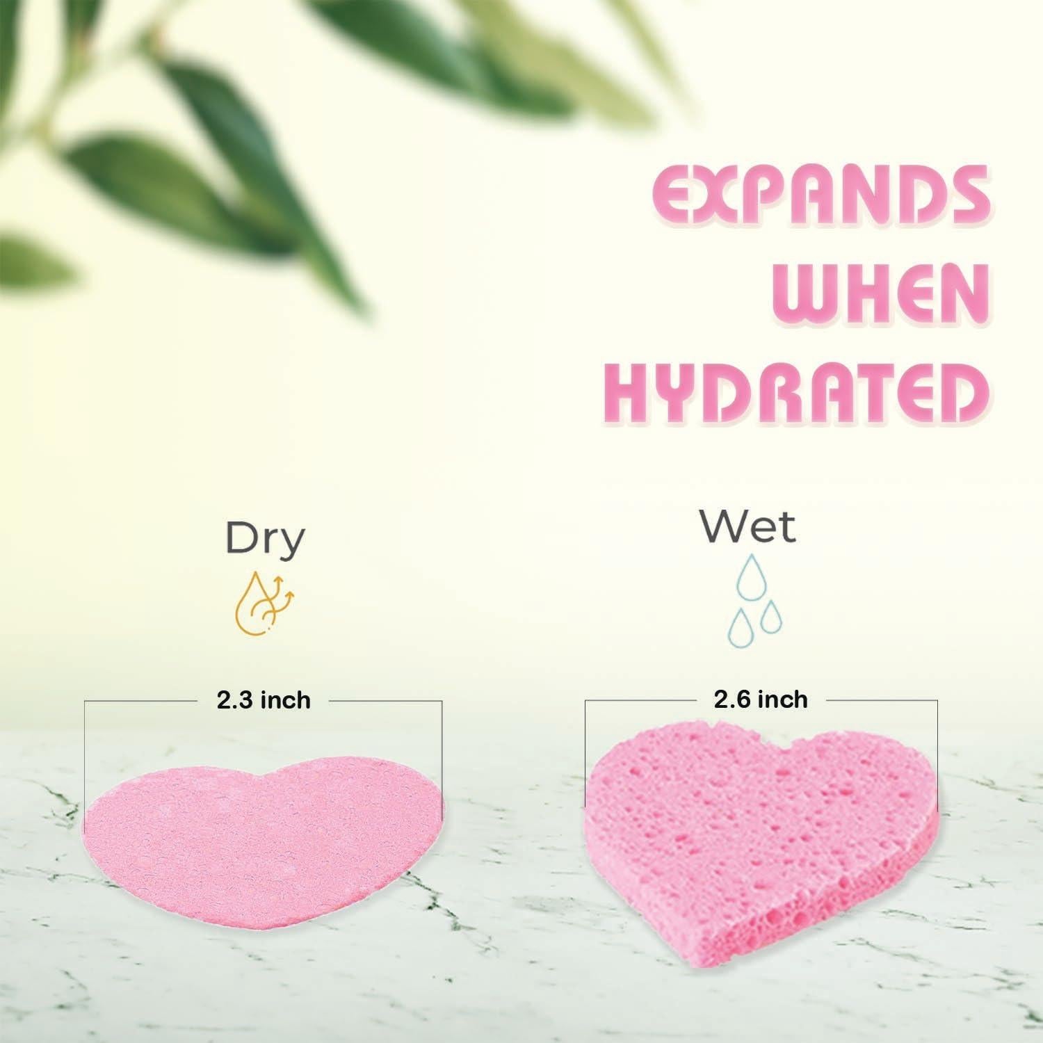 Esponjas Faciales Comprimidas GreenBoll 60 Unidades Naturales