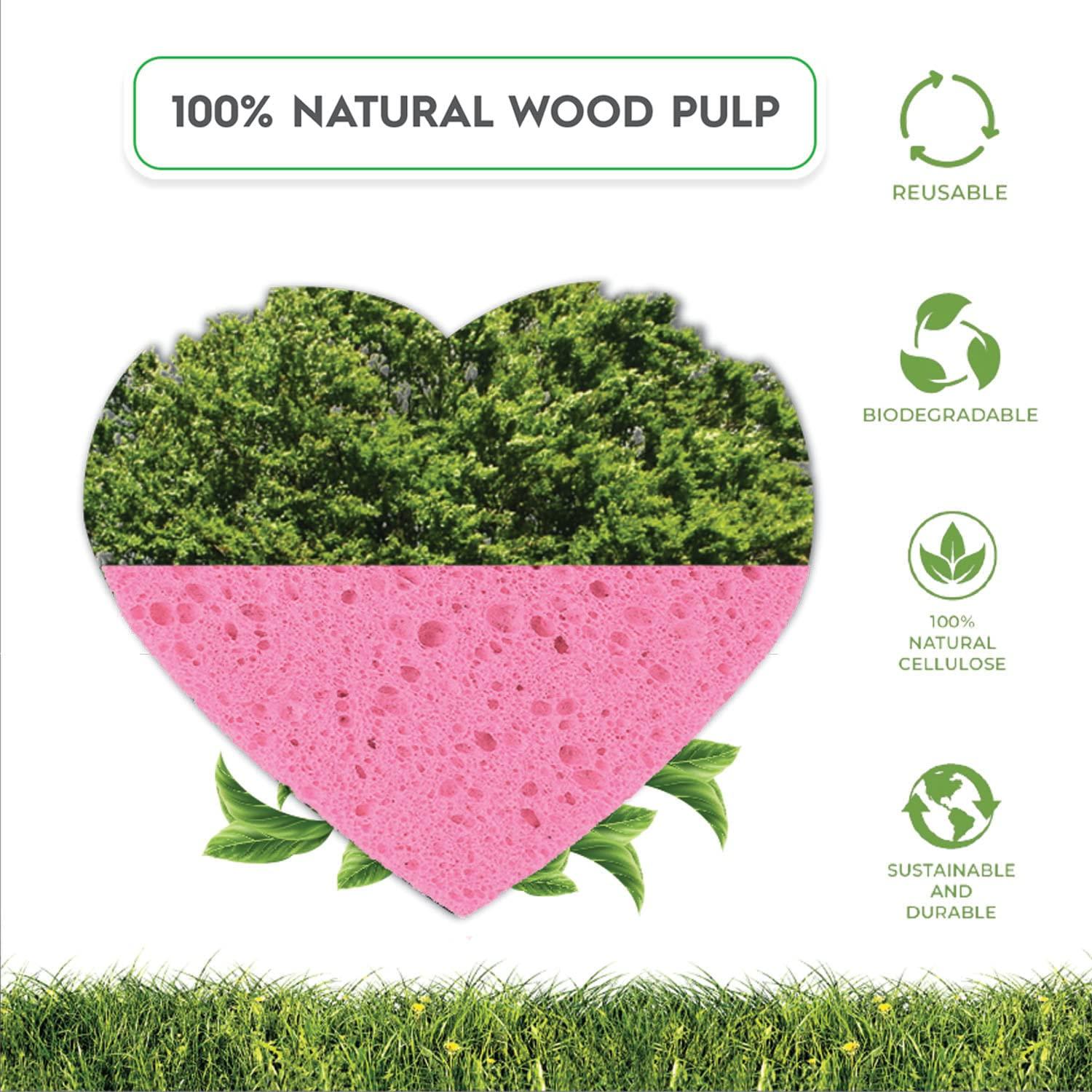 Esponjas Faciales Comprimidas GreenBoll 60 Unidades Naturales