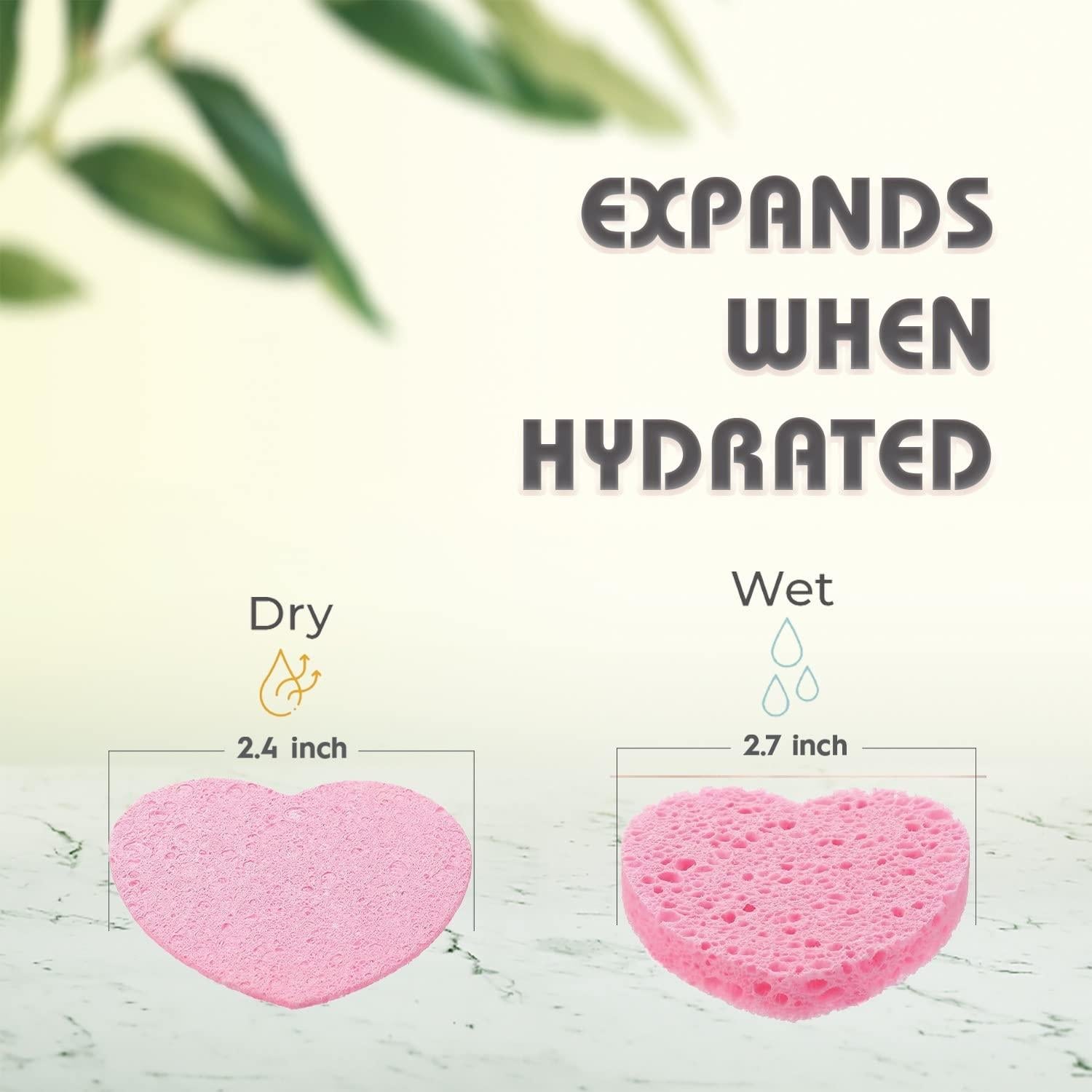 Esponjas Faciales Comprimidas Miaform - 100 Unidades Naturales