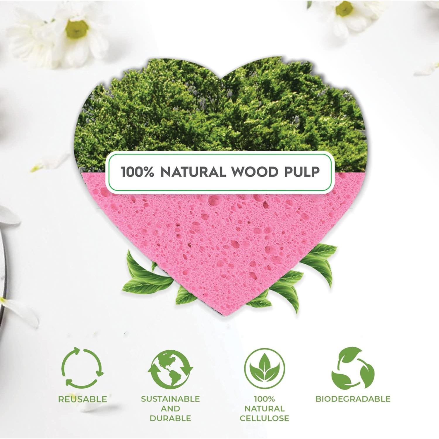 Esponjas Faciales Comprimidas Miaform - 100 Unidades Naturales