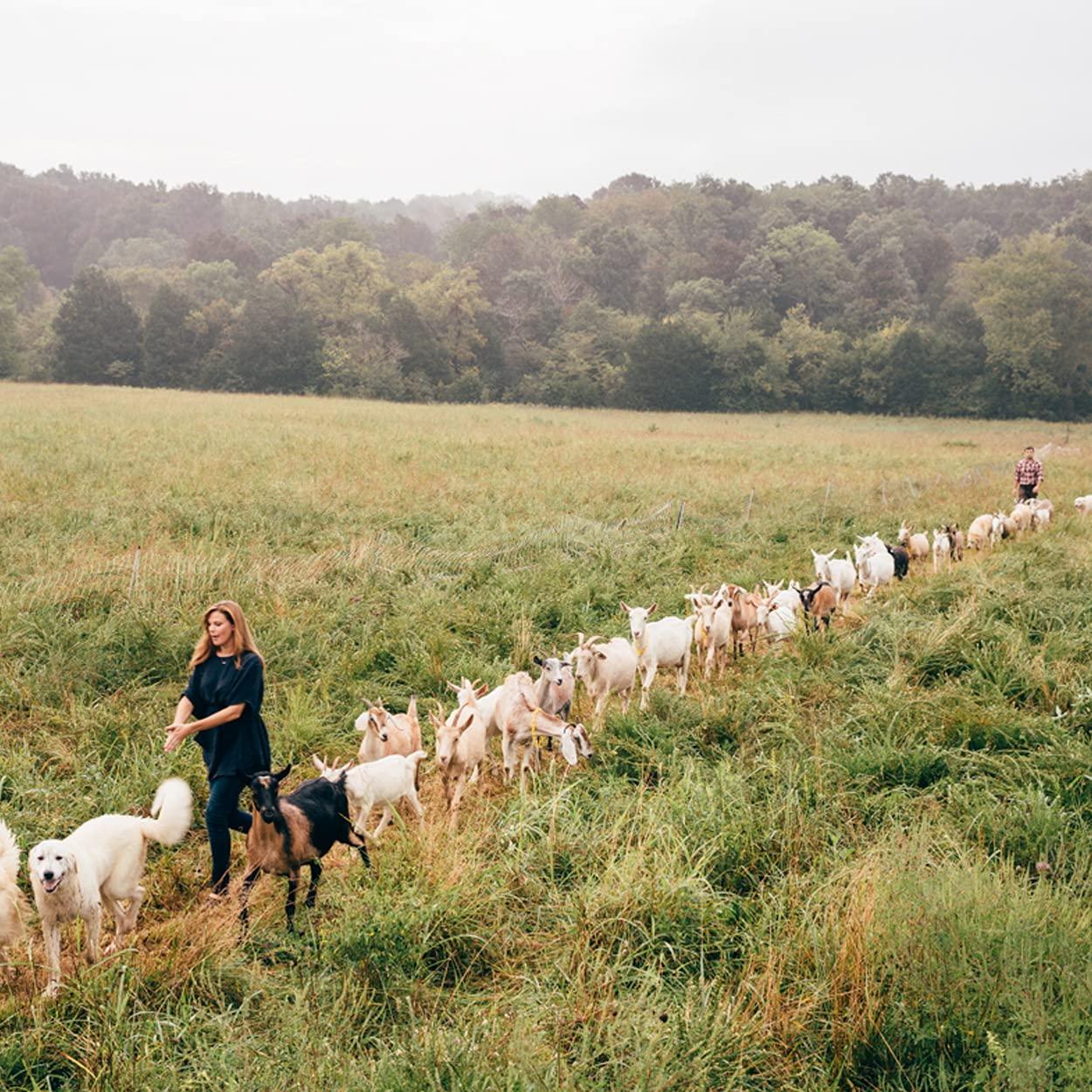 Jabón Orgánico de Leche de Cabra Little Seed - 3 Barras Carbón Activado 134g