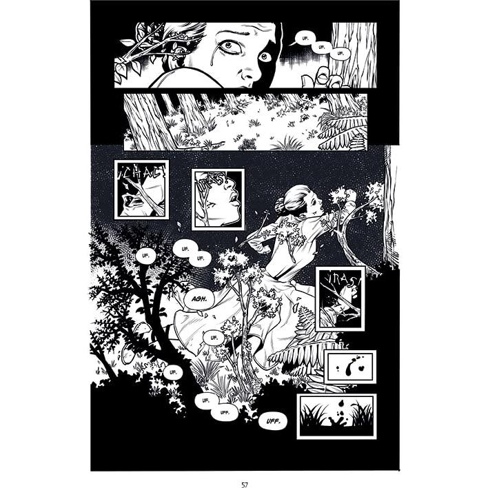 LOS SUEÑOS DEL LOBO