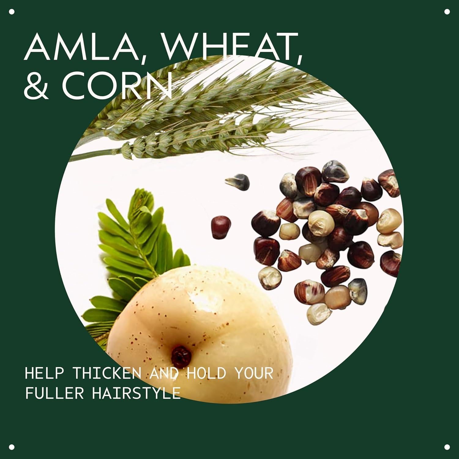 Tónico Engrosante Aveda 29.57 ml para Cabello Fino