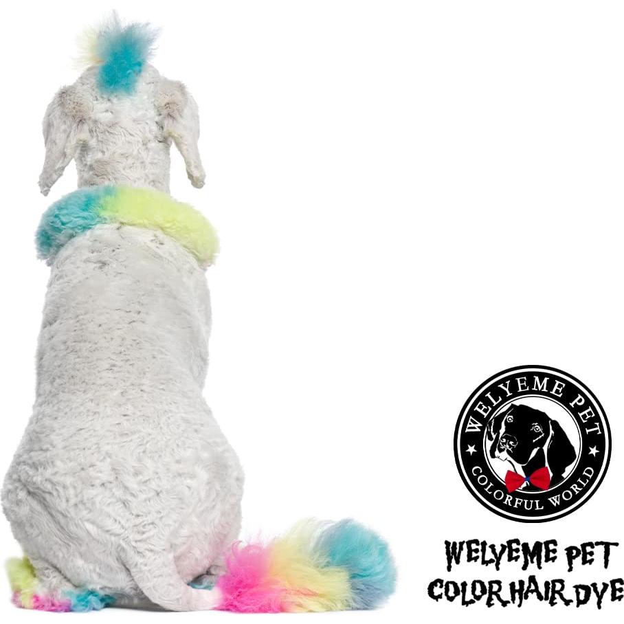 Kit de Tinte Permanente para Pelo de Perro WELYEME - 3 Colores