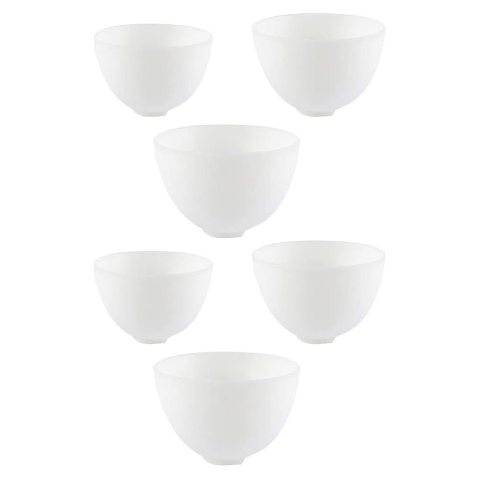 Cuencos de Silicona Healifty 6 Piezas para Mascarillas Faciales