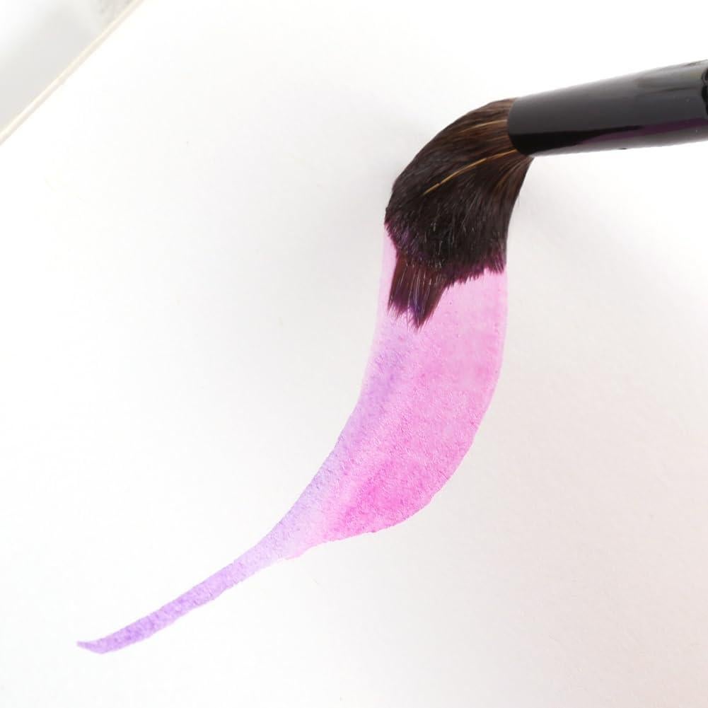 Juego de Pinceles de Acuarela Dainayw 6 Pcs Sable Detalle