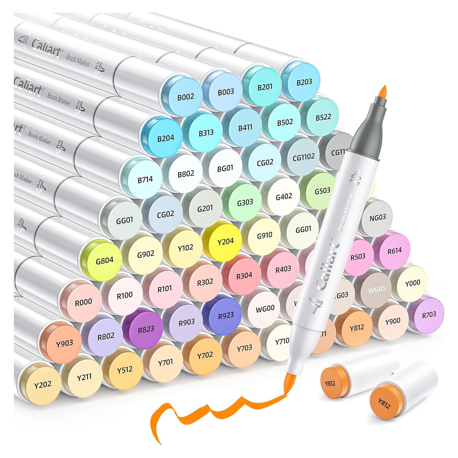 Set de 61 Marcadores Permanentes Caliart Doble Punta Alcohol