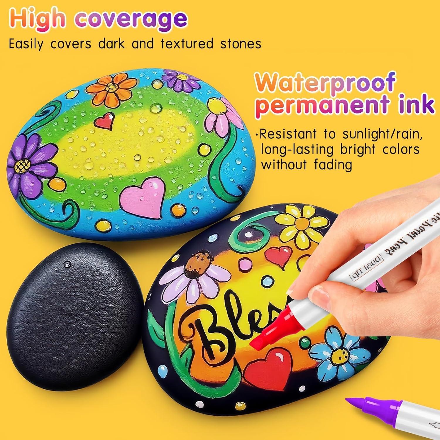 Marcadores de Pintura Acrílica SFAIH 60 Colores Doble Punta