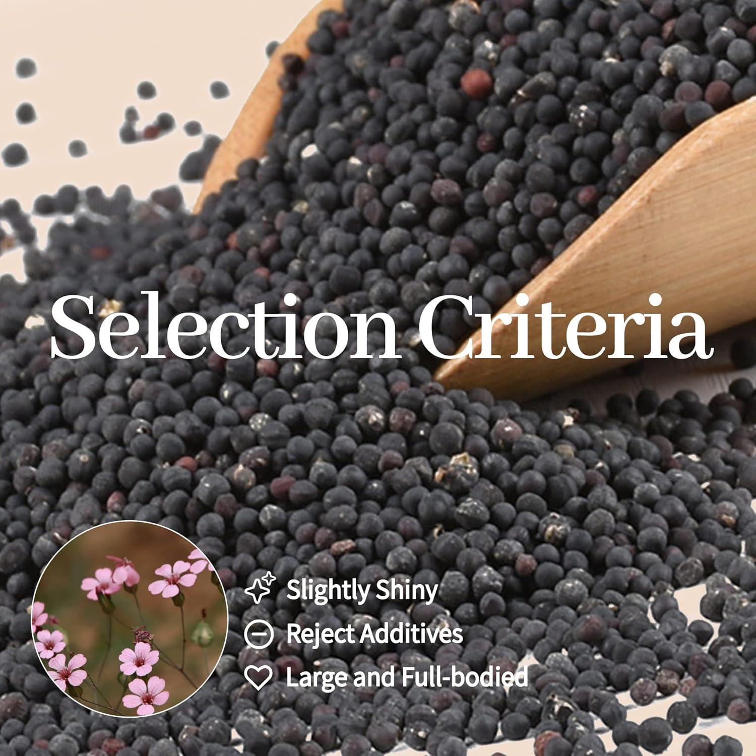 Kit de Acupuntura de Oído Tophld 1200 Semillas y Herramientas