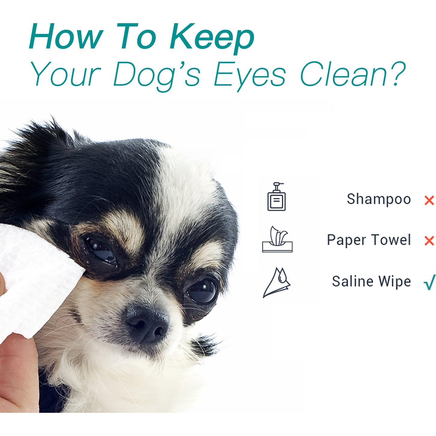 Toallitas Estériles de Salina Winner 70 Unidades 15x20 cm