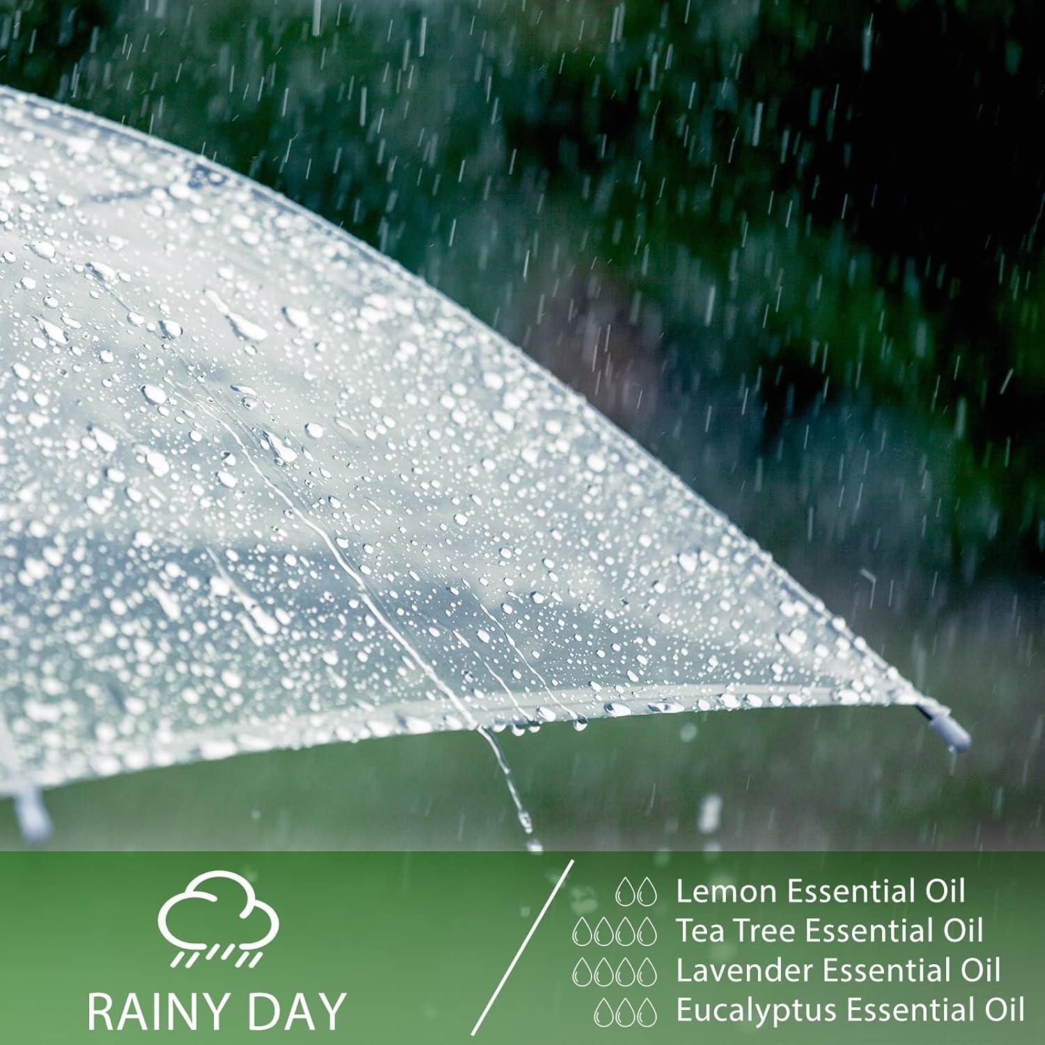 Aceite Esencial de Árbol de Té 100ml PHATOIL - Puro y Natural