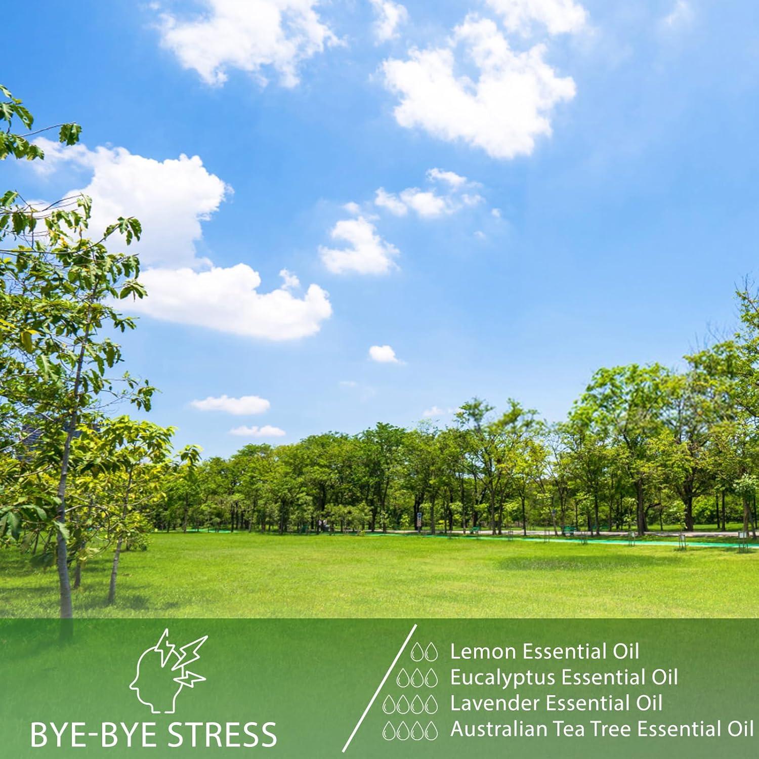 Aceite Esencial de Árbol de Té PHATOIL 100ml para Aromaterapia