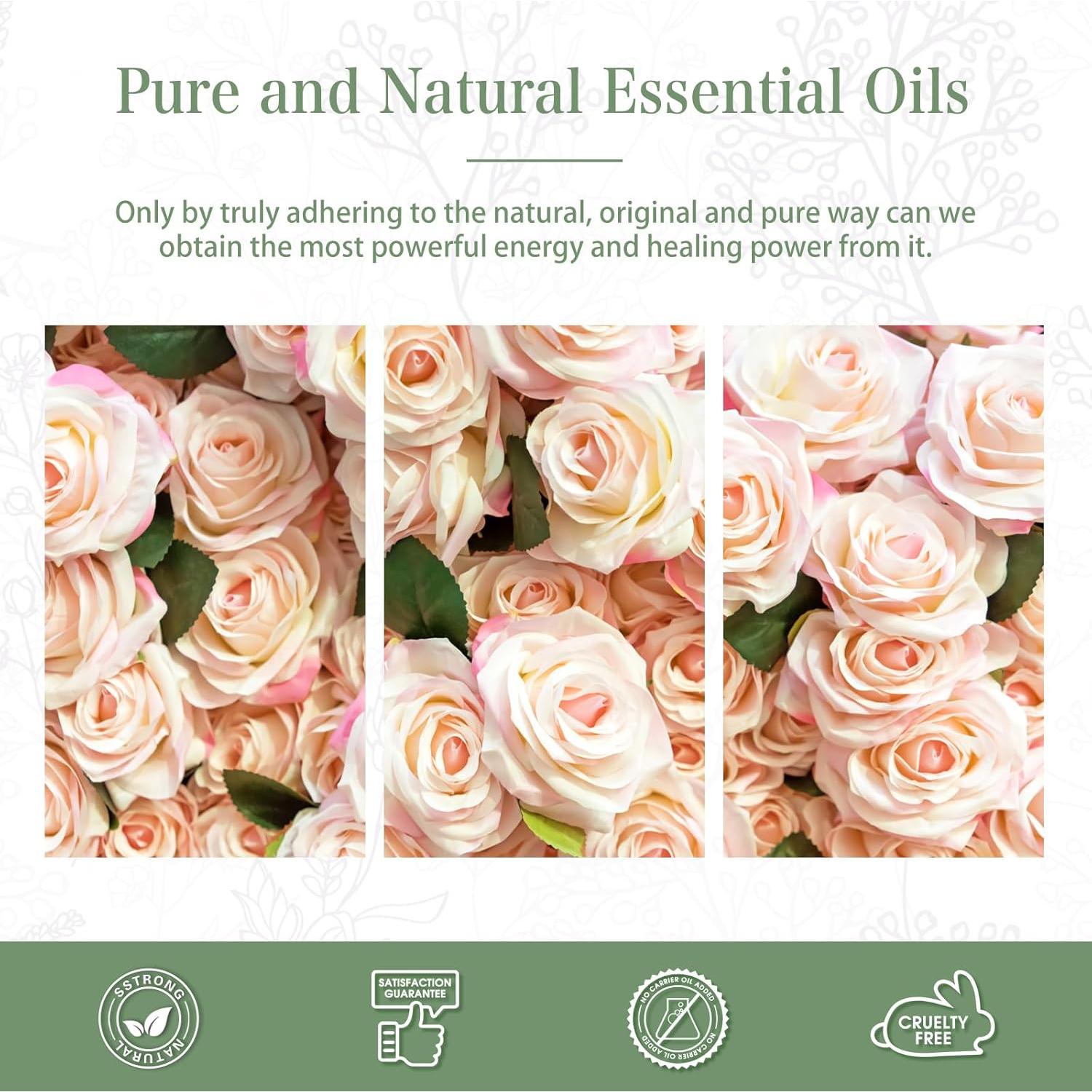 Aceite Esencial de Rosa PHATOIL 100ml con Gotero para Aromaterapia