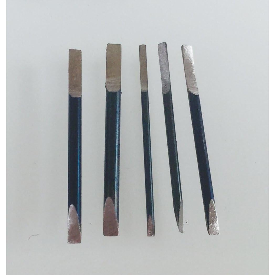 Juego de 5 Destornilladores de Precisión OTOOLWORLD 1.60 mm