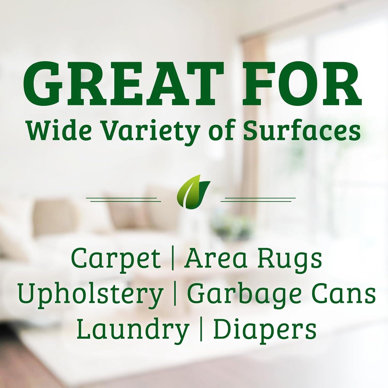 Biokleen Bac-Out 128 Oz Eliminador de Manchas y Olores Ecológico