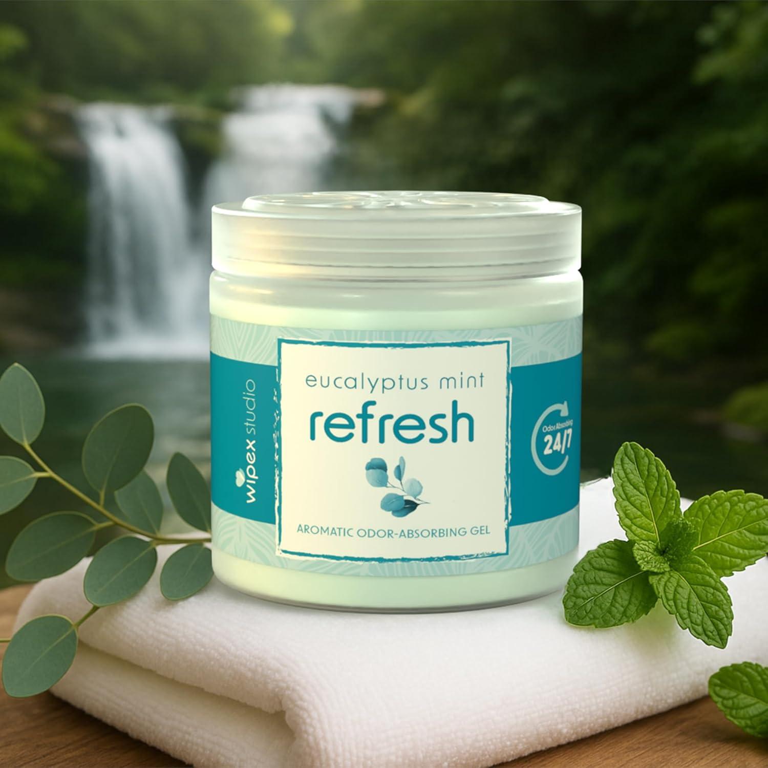 Eliminador de Olores Wipex Eucalipto 3 Tarros Gel 425g