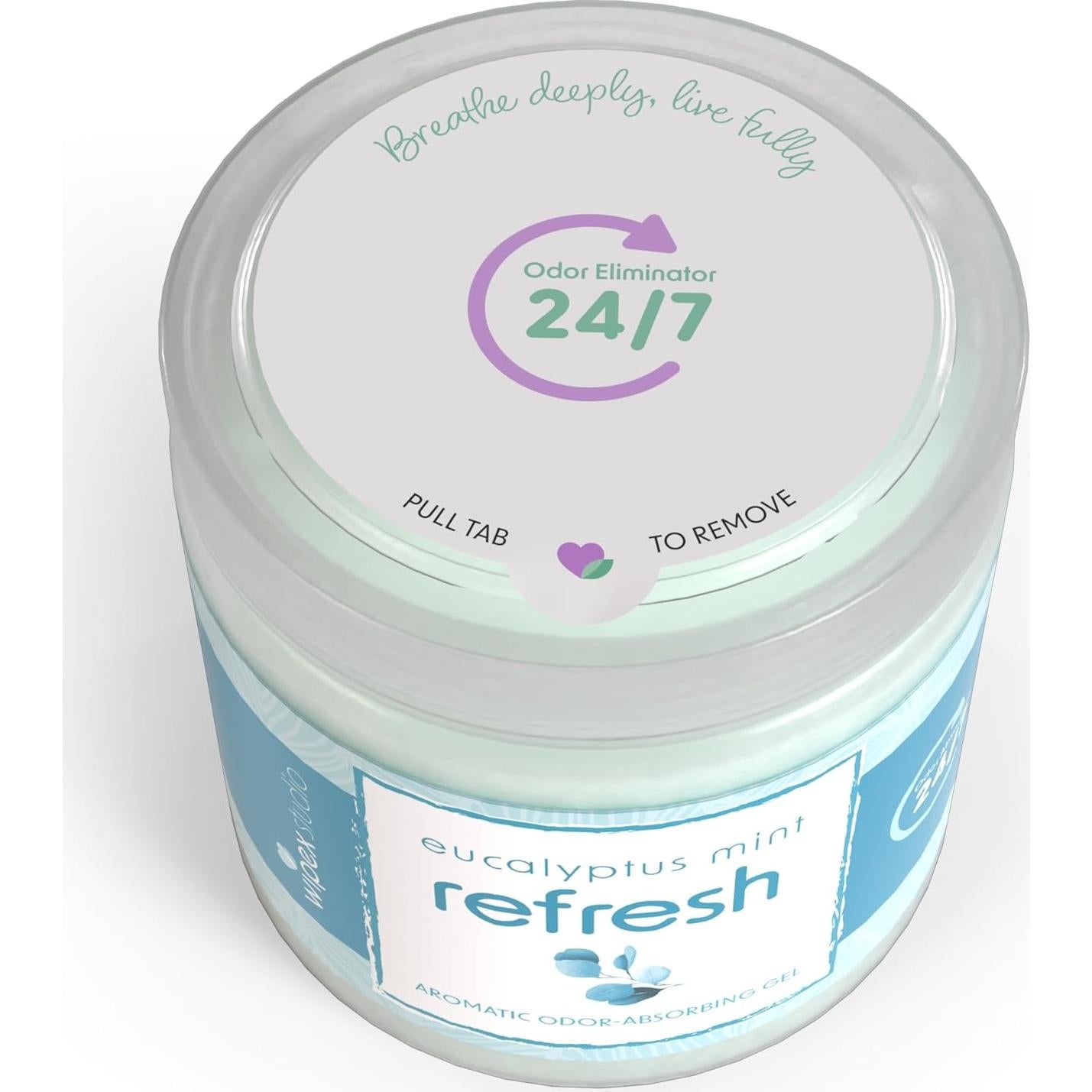 Eliminador de Olores Wipex Eucalipto 3 Tarros Gel 425g