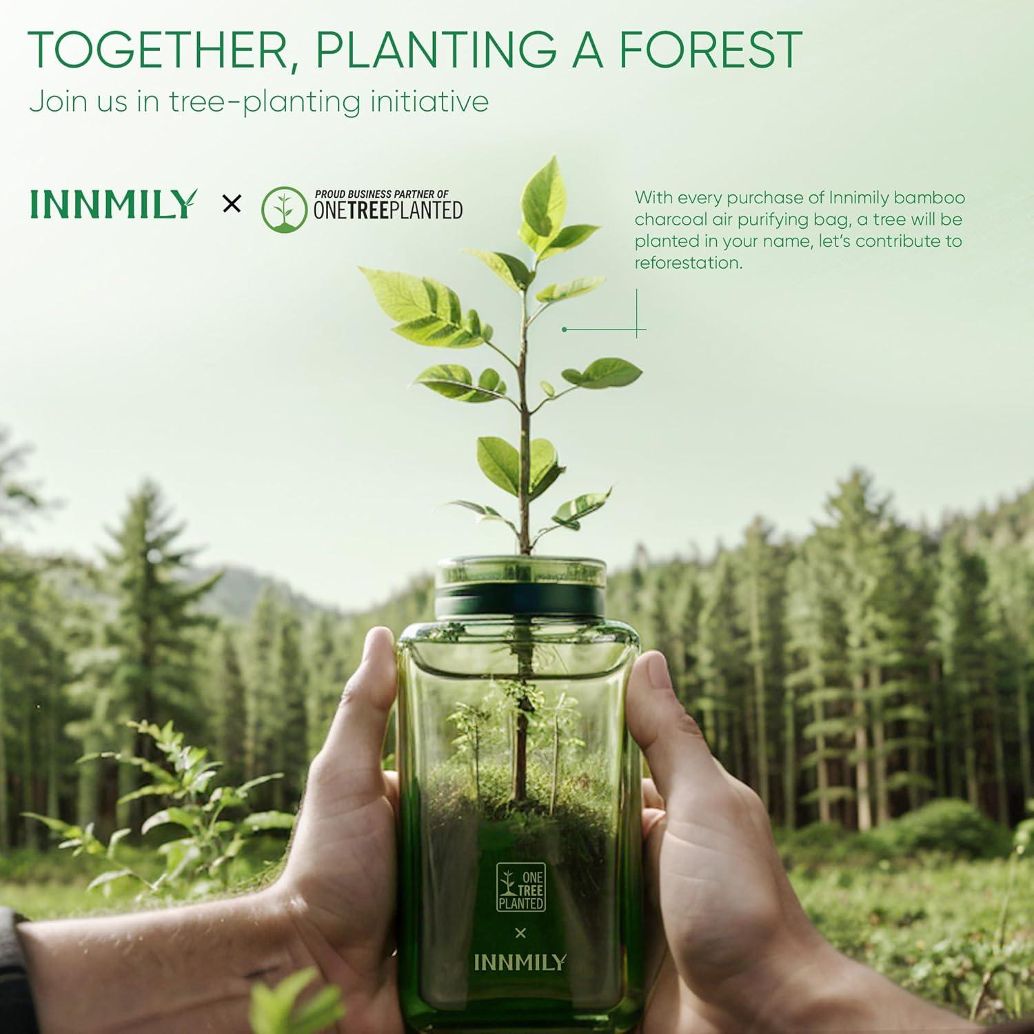 Absorbente de Olores Innmily 4x200g Carbón Activado Natural