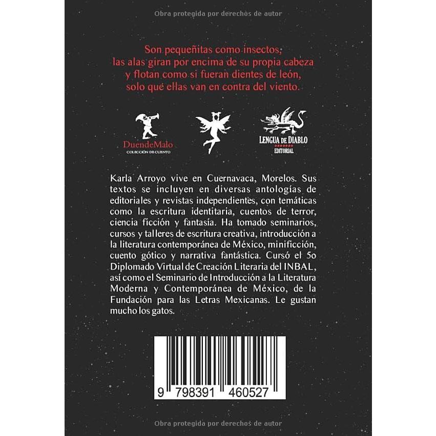 No querrás encontrar a las hadas (Spanish Edition)