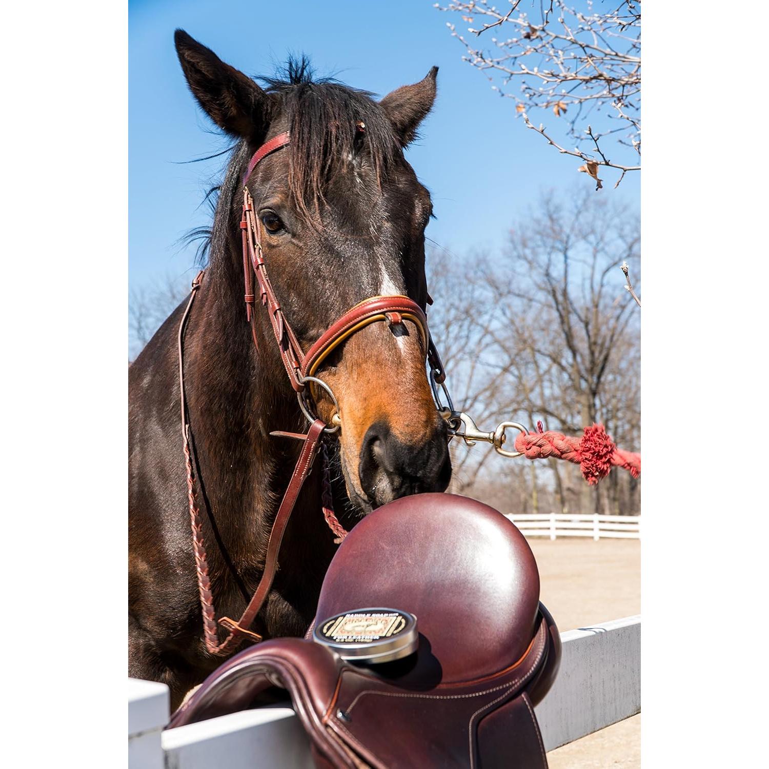 Jabón para Sillas Bickmore 79.4g - Limpiador y Acondicionador de Cuero