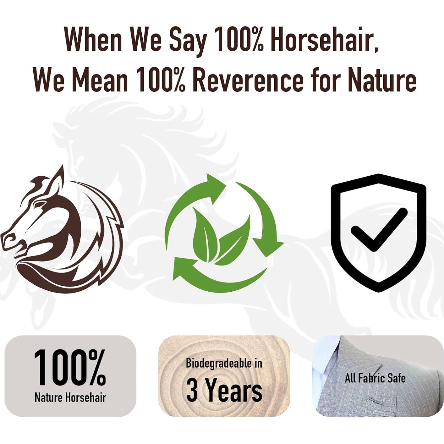 Kit de Cepillos para Zapatos de Cuero Zzisland 4 Piezas