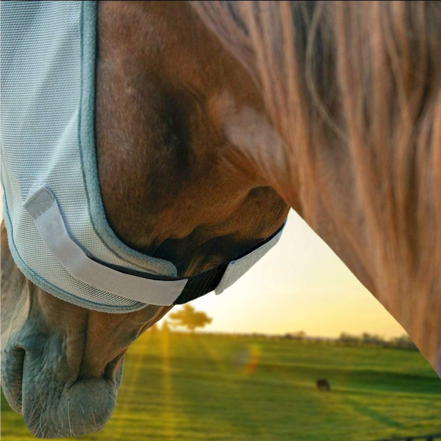 Extensor de Correa Elástica Dr. Jeff 10.16x22.86 cm - Soporte