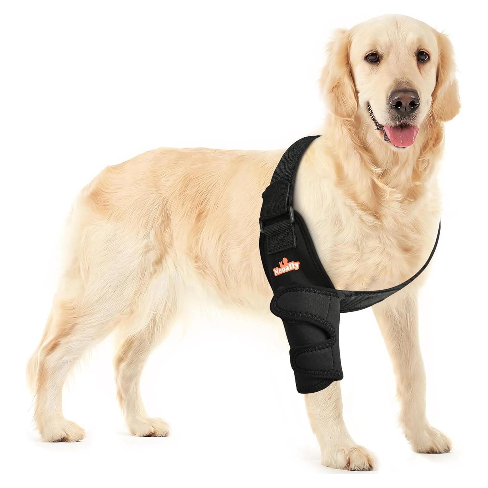 Protector de Codo NeoAlly para Perros Pequeños - Soporte y Comodidad