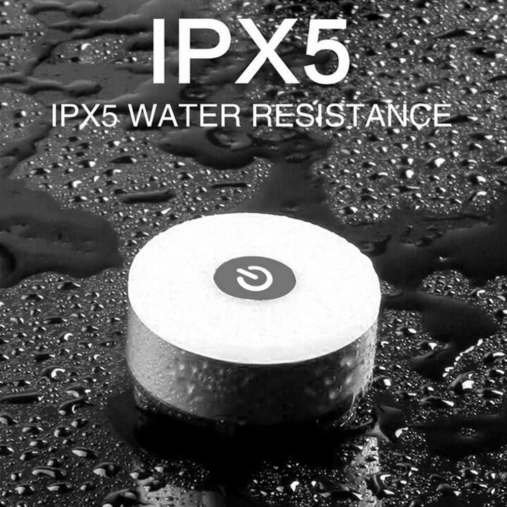 Luz Trasera de Bicicleta WASAGA LED Recargable USB Impermeable