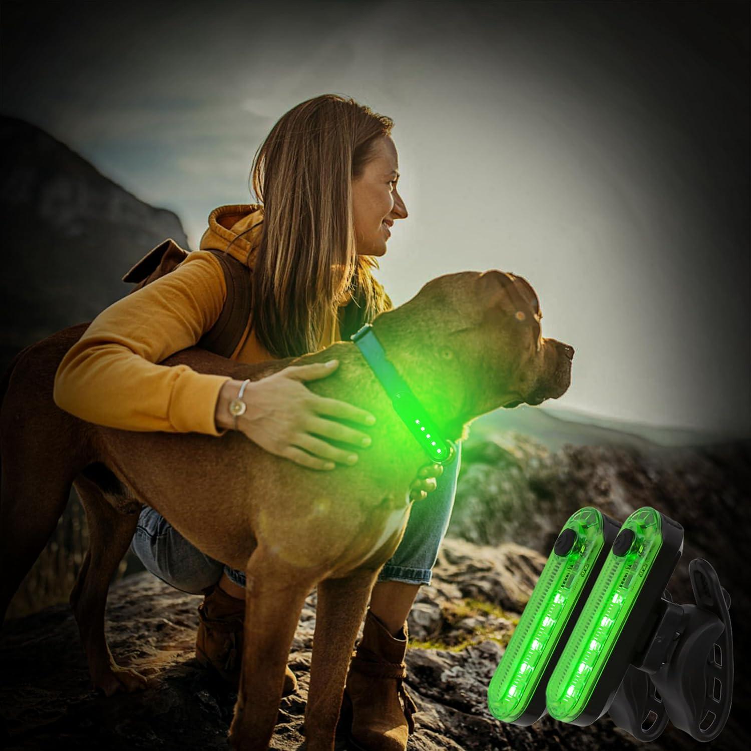 Luz Trasera LED Verde BuleVina Recargable USB para Bicicleta