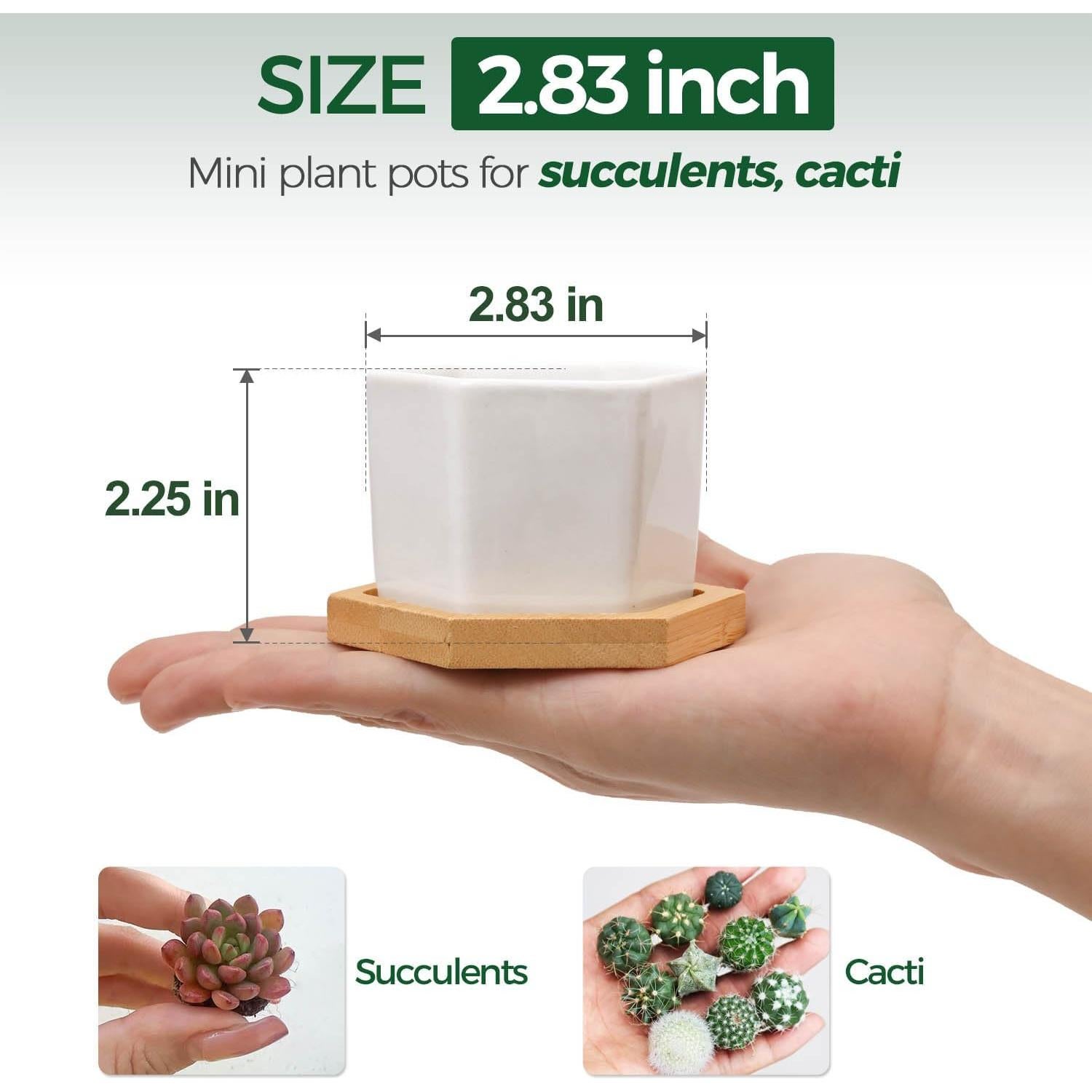 Macetas Hexagonales T4U para Suculentas - Juego de 2 Cerámica