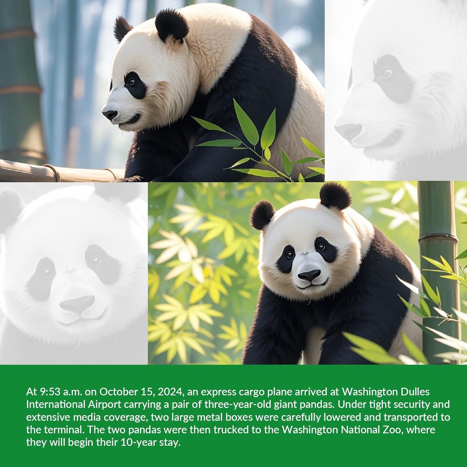 Clip Magnético Marcador de Pelotas de Golf OlibaDu Panda