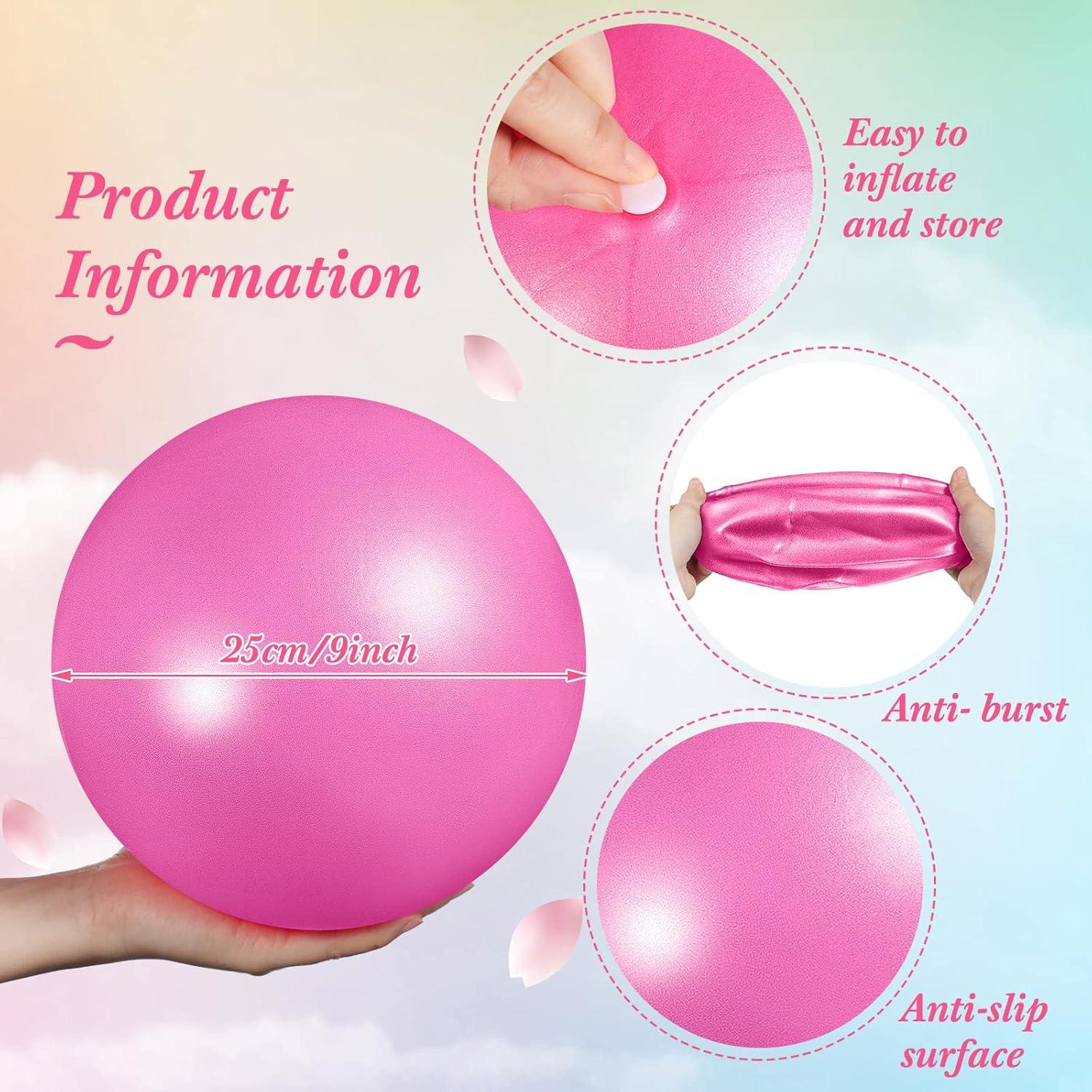 Pelotas de Ejercicio Aoriher 10 Piezas 25 cm PVC Rosa Púrpura
