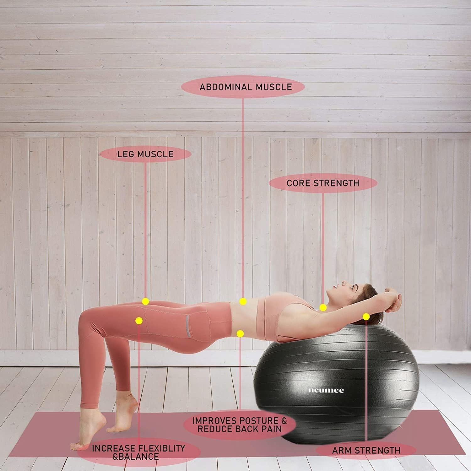 Silla de Pelota de Ejercicio NEUMEE 65 cm con Bandas de Resistencia