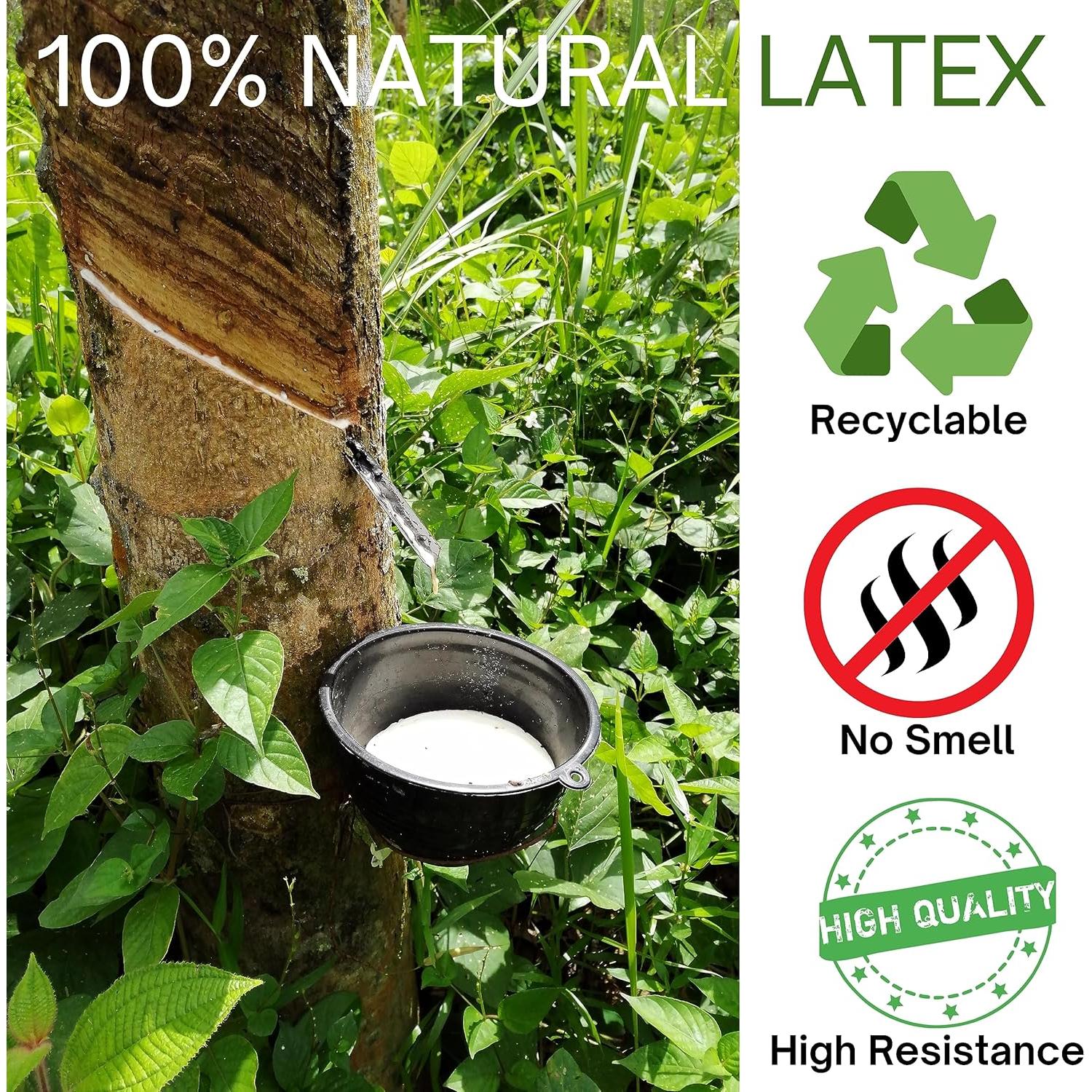 Bandas de Resistencia Pro PACIFIC CRAZE - Juego de 5 Niveles