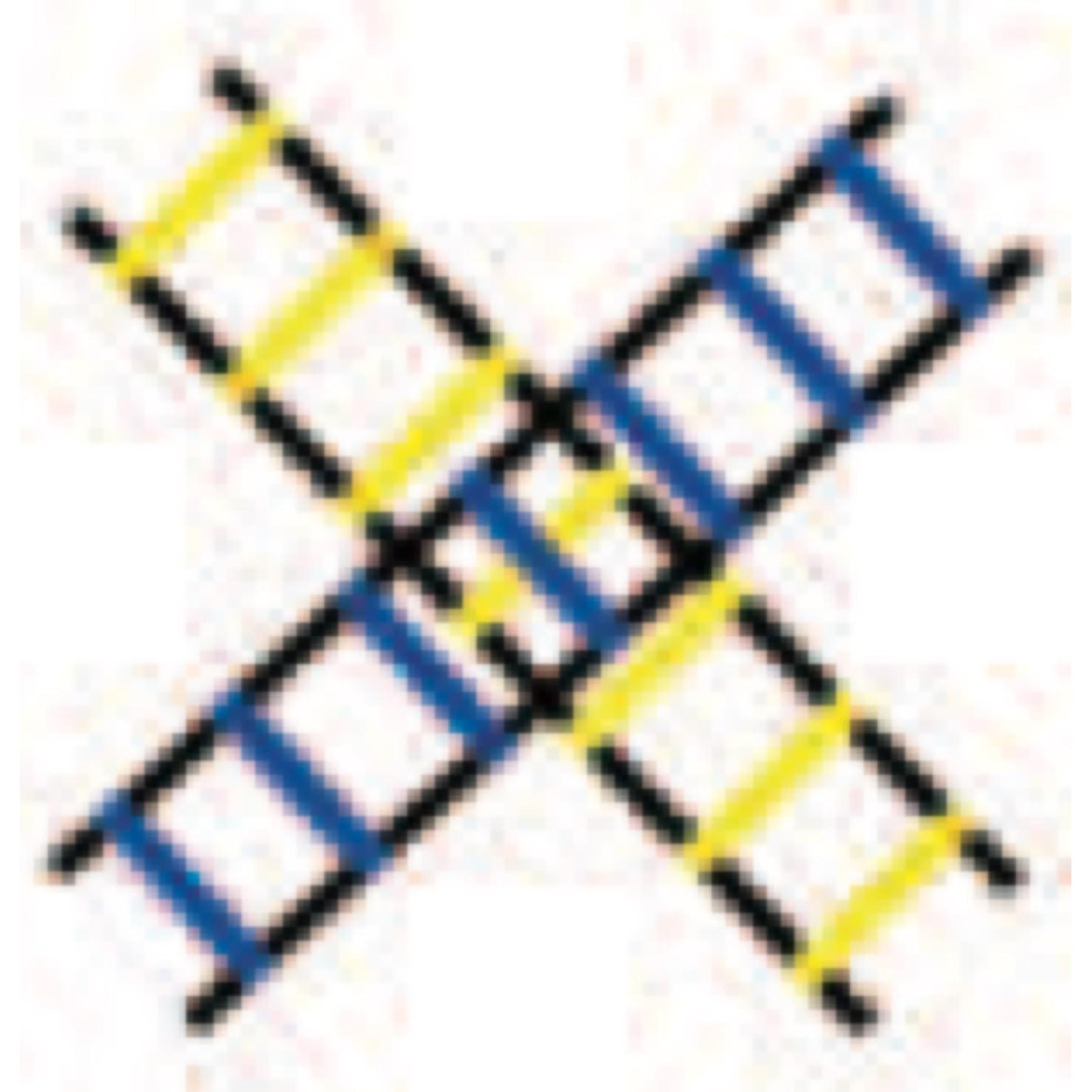 Escalera de Agilidad Seccionada Champion Sports 2M Multicolor