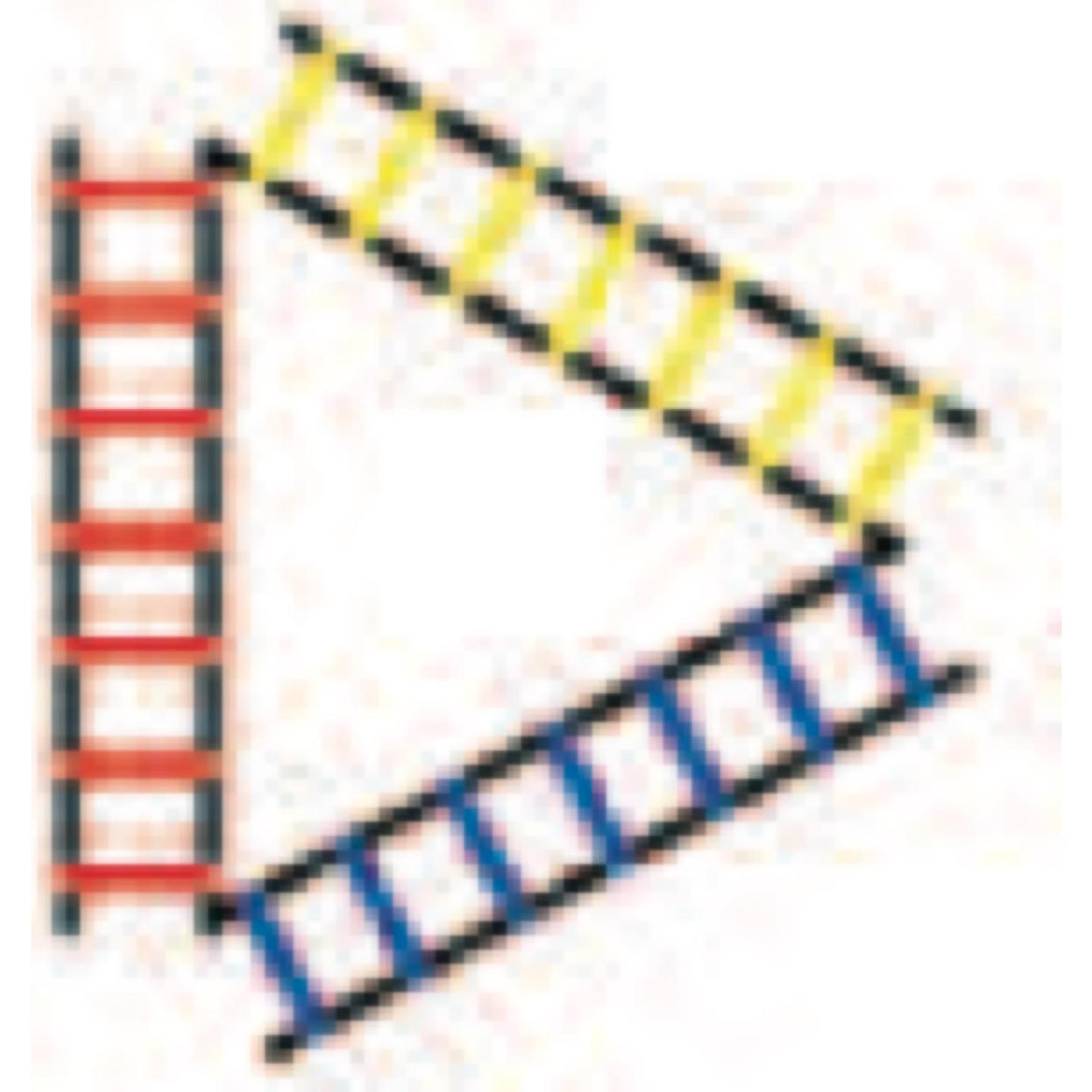 Escalera de Agilidad Seccionada Champion Sports 2M Multicolor