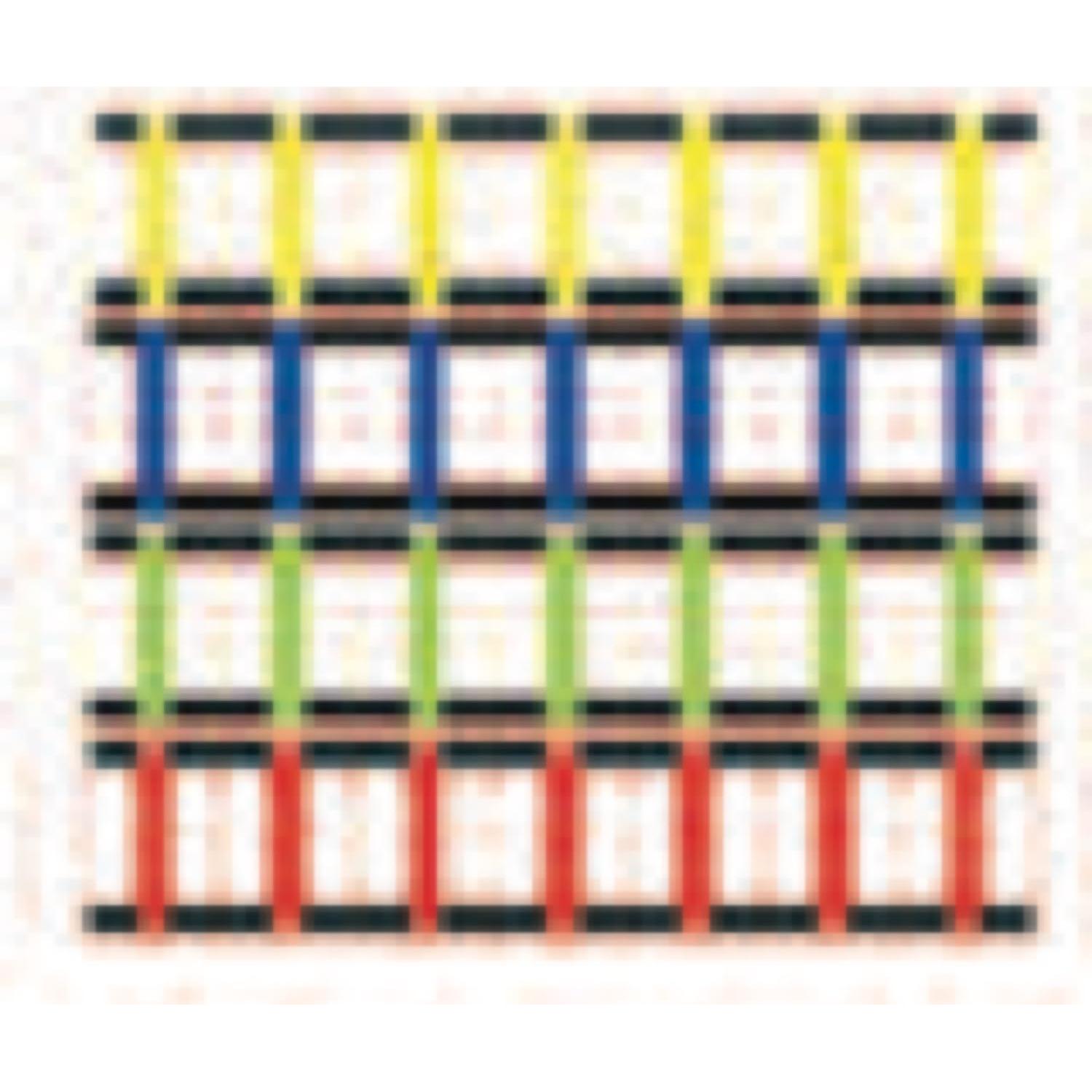 Escalera de Agilidad Seccionada Champion Sports 2M Multicolor