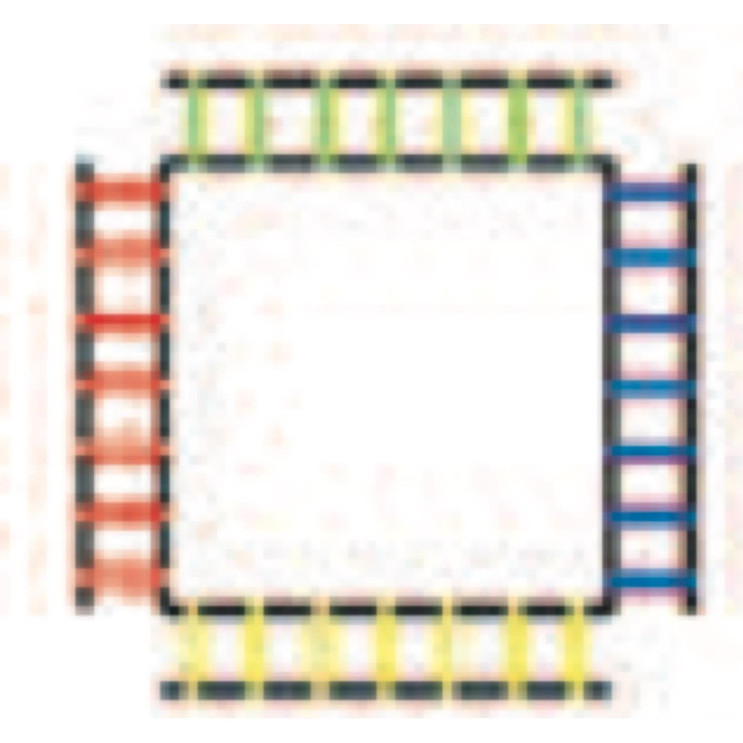 Escalera de Agilidad Seccionada Champion Sports 2M Multicolor