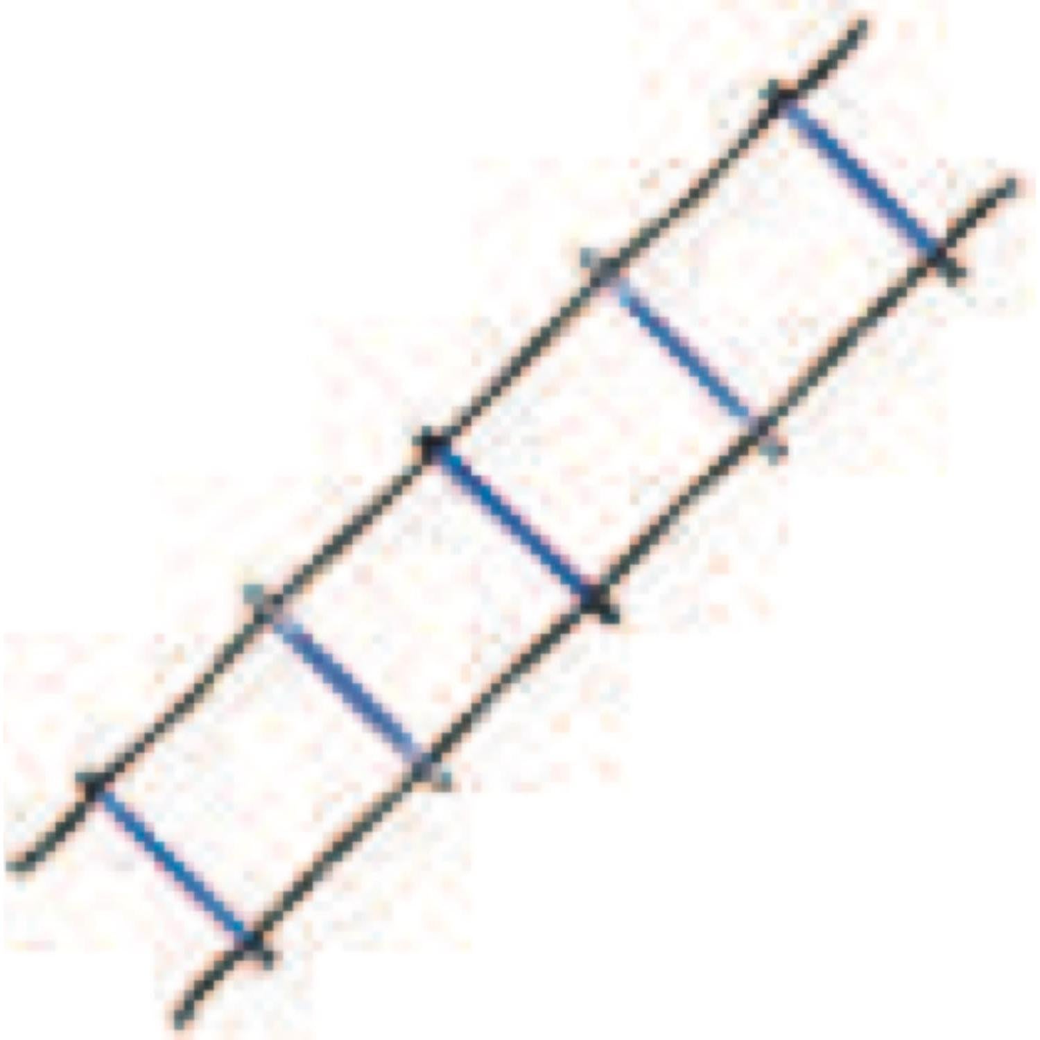 Escalera de Agilidad Seccionada Champion Sports 2M Multicolor