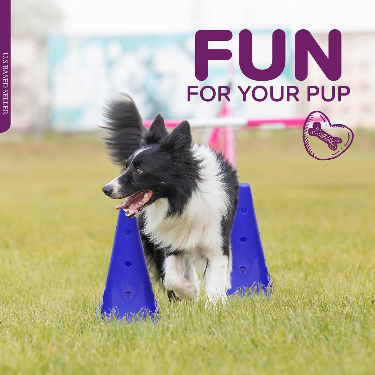 Conjunto de Conos de Agilidad MiMu - Entrenamiento para Perros