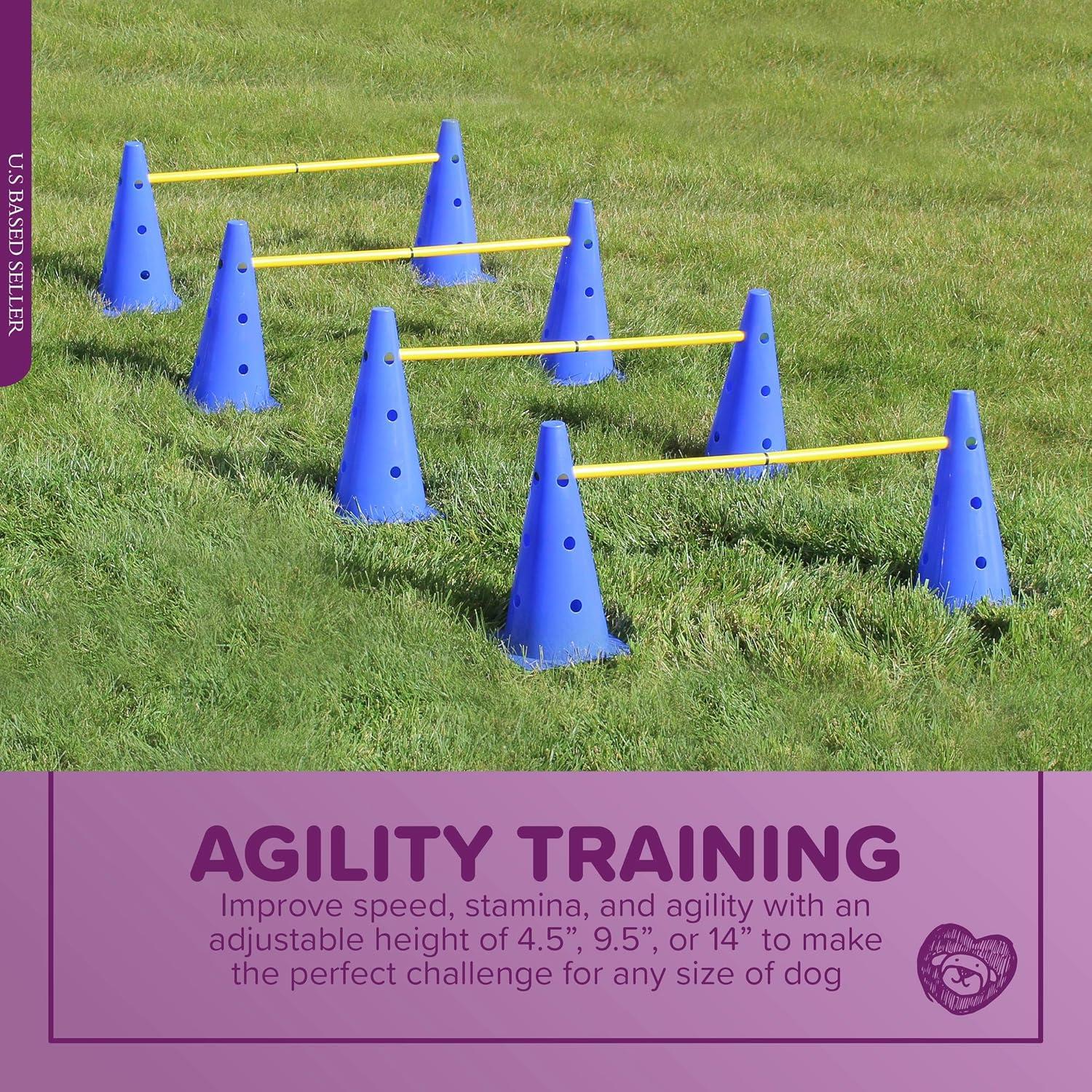 Conjunto de Conos de Agilidad MiMu - Entrenamiento para Perros