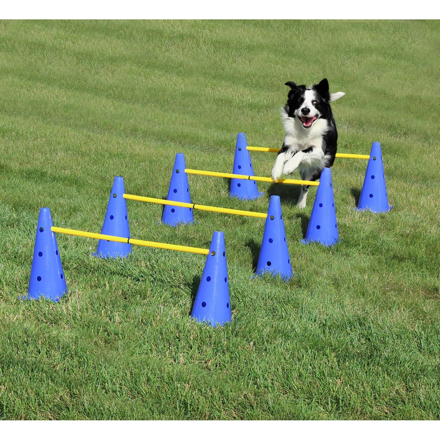 Conjunto de Conos de Agilidad MiMu - Entrenamiento para Perros