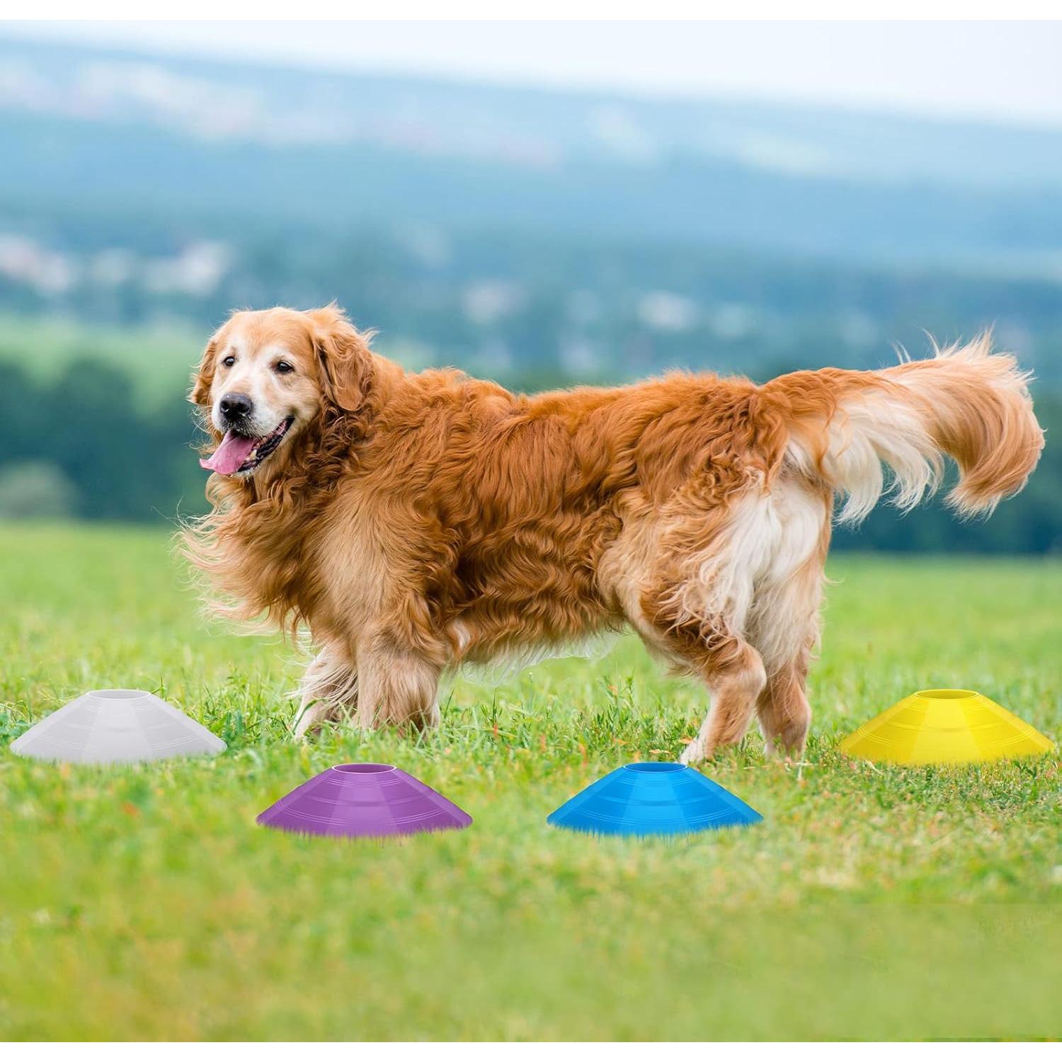 Conos de Fútbol Jerify 80 Pcs Multicolor con Soportes