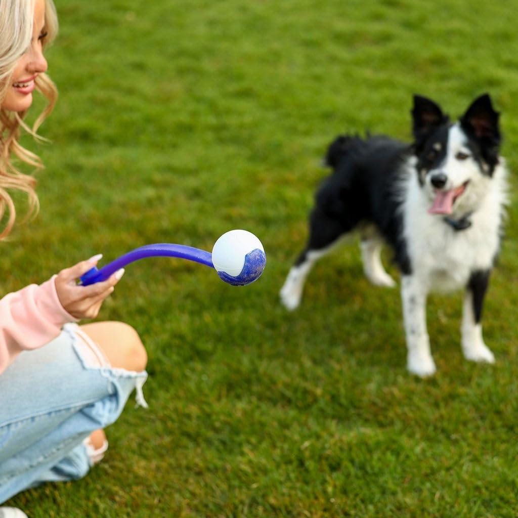 Conjunto de 6 Pelotas de Lacrosse EM2 - Goma Natural, 6.3 cm