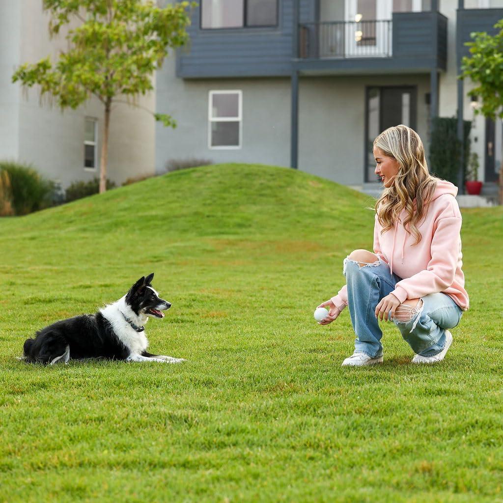 Conjunto de 6 Pelotas de Lacrosse EM2 - Goma Natural, 6.3 cm