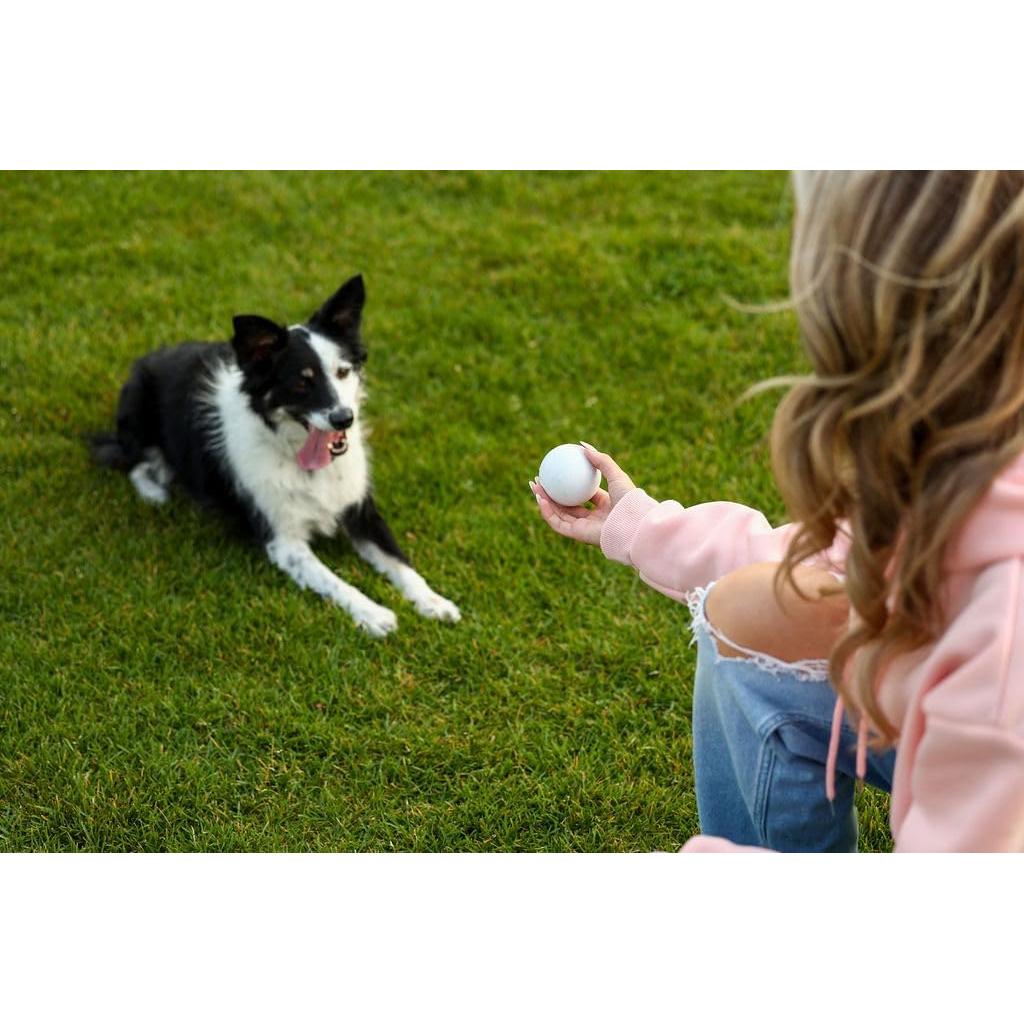 Conjunto de 6 Pelotas de Lacrosse EM2 - Goma Natural, 6.3 cm