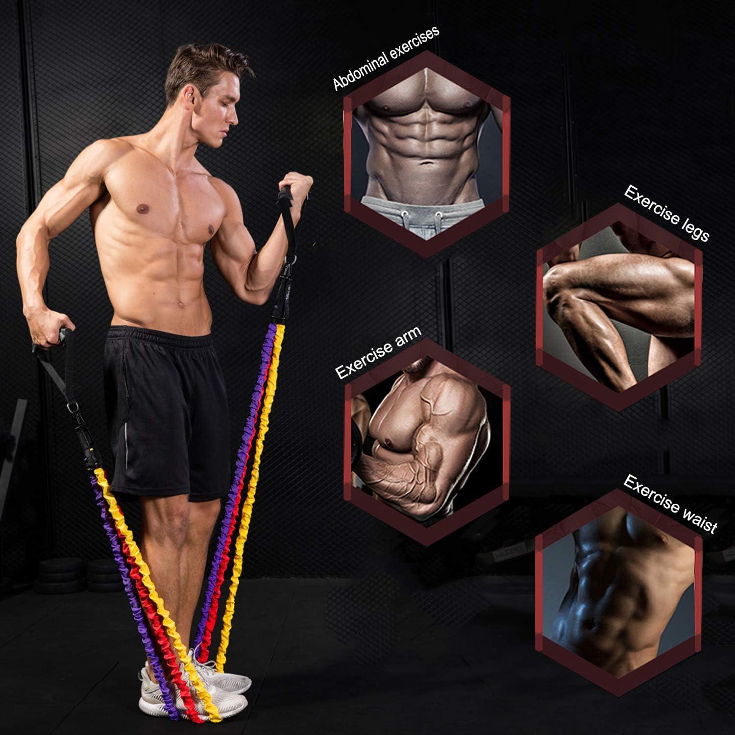 Juego de Bandas de Resistencia Rocutus 15 Piezas 9-18kg